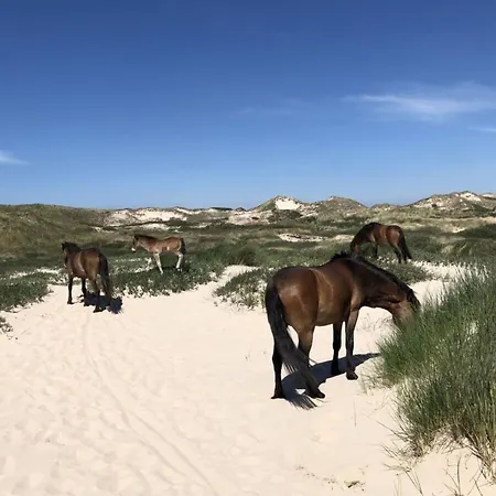 Lägenhet Klein Geluk
